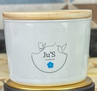 Reencontro com a Família